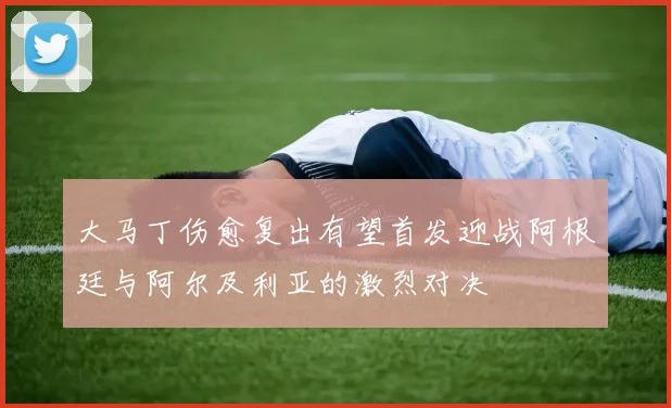 大马丁伤愈复出有望首发迎战阿根廷与阿尔及利亚的激烈对决