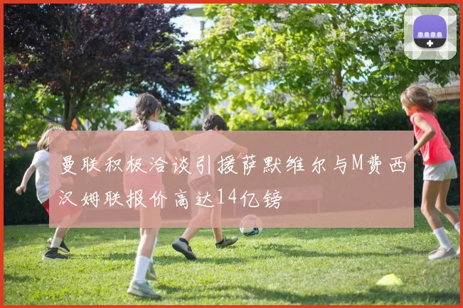 曼联积极洽谈引援萨默维尔与M费西汉姆联报价高达14亿镑
