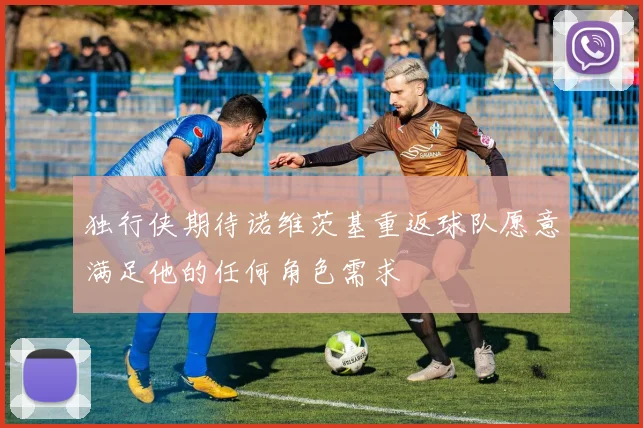 独行侠期待诺维茨基重返球队愿意满足他的任何角色需求