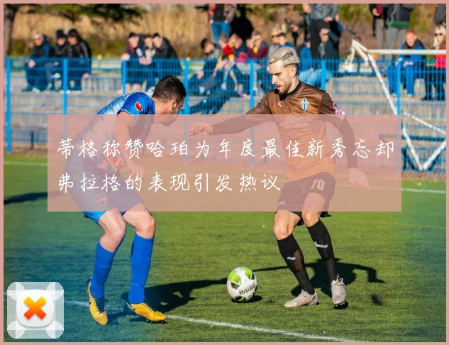 蒂格称赞哈珀为年度最佳新秀忘却弗拉格的表现引发热议